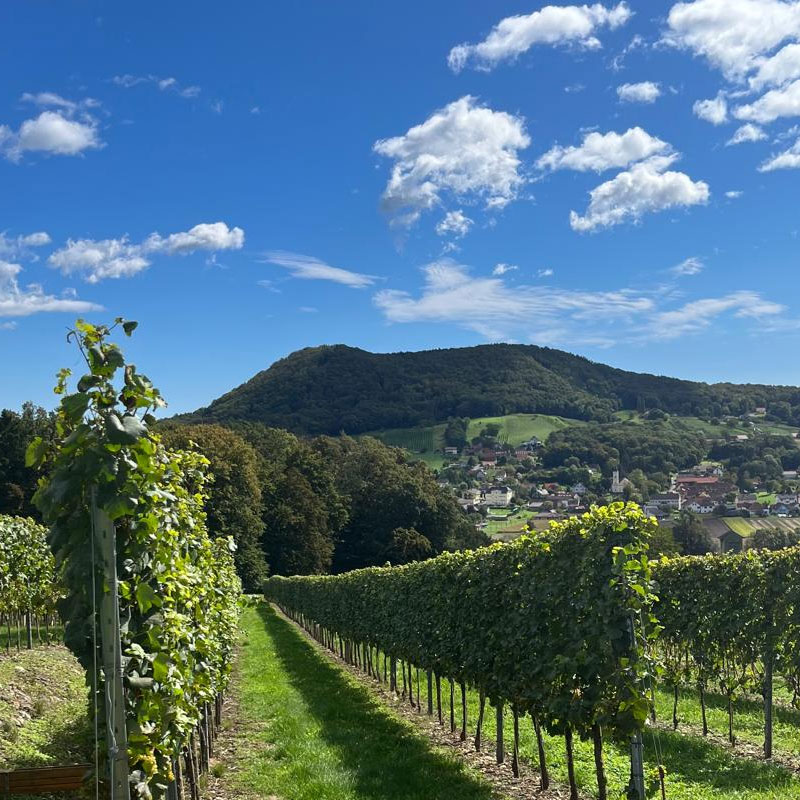 oesterreichische-feinkost